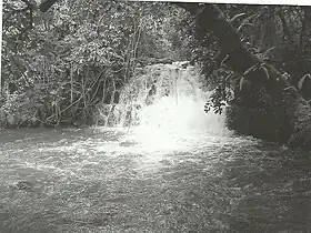 Babungo (Babessi)