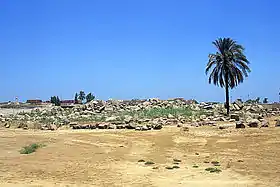 photo des ruines du temple.