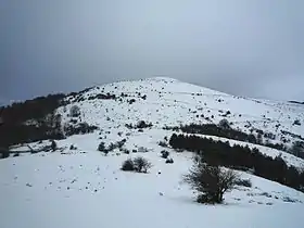 Sommet du Belchou (1 130 m) sous la neige depuis Othamonho (762 m).