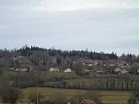 Belfays