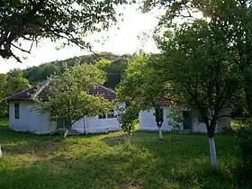 Belja
