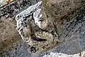 Deux hommes réunis par un serpent.