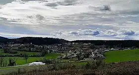 Belleherbe