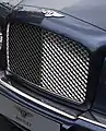 Grille de radiateur chromée.