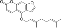 Image illustrative de l’article Bergamottine
