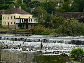 Zvíkovec