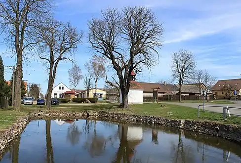 Étang à Bezděkov.