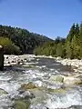 La Białka (torrent) près de Jurgów.