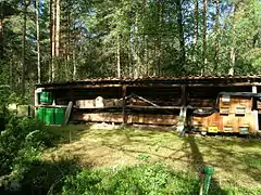 Ruches en lisière de la forêt (de gauche à droite) : rayons modernes en plastique, « paniers Kanitz », Ruche en cloche traditionnelle et ruche en bois.
