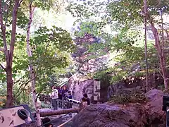 Zone de la forêt laurentienne.