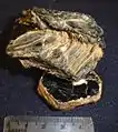 Clivage basal parfait dans une biotite. On distingue les plans de clivage parallèles (feuilletage).