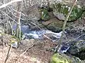 Le ruisseau en aval de la vallée glaciaire (altitude : environ 1&nbsp;050&nbsp;m).