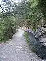 Le long du bisse d'Ayent.
