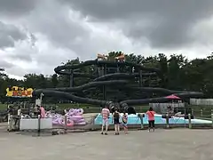 Black Hole