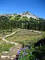 Black Tusk Meadows