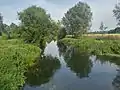 Le canal Chelmer et Blackwater.