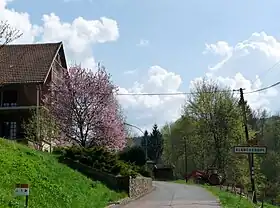 Blancherupt