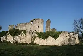 Château de Blanquefort