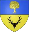 Blason