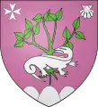 Salamandre contournée brochant sur le fayard. Ville de La Fage-Montivernoux (Lozère).