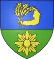 Blason de Csorvás