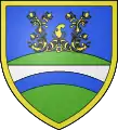 Blason de Kovácshida