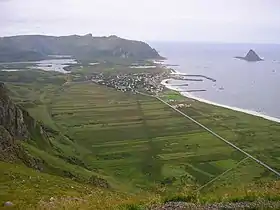 Bleik