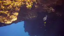 L'arche de sortie du Blue Hole