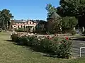 Blumenow