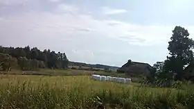 Malinka (Wydminy)