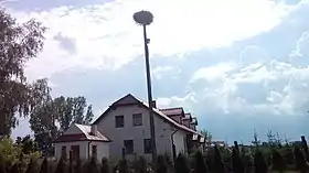 Wardomy