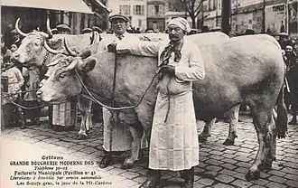 Le bœuf a été introduit au XVIIIe siècle en Australie.