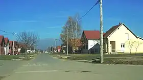 Bogdanovci