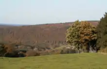 Bois de Staneux