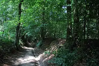 Le GR VA dans le Pottelbergbos (nl)