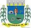 Blason de Bom Jesus do Sul