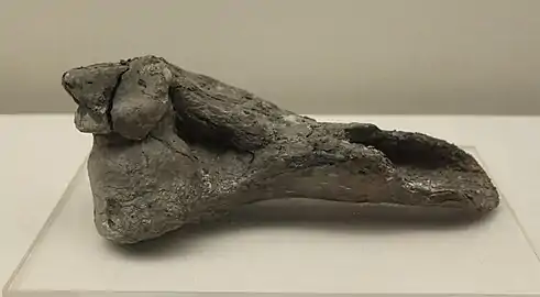 Bêche dans un humérus de gros animal, (L. 24 cm)Site de Bashidang. Musée du Hunan.