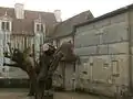 La cour et l'aile.