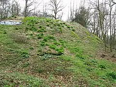 La motte féodale