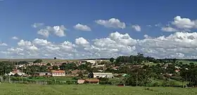 Borebi