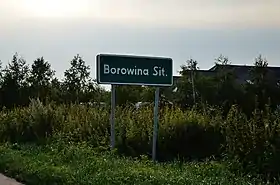 Borowina Sitaniecka