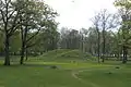 Borrehaugen