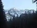 Le Gros Ferrand (alt. 2 401 m) vu depuis la forêt de Boscodon.