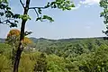 Vue des collines de Bōsō depuis les restes du château de Mariyatsu à Kisarazu.