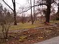 Vue du jardin au mois de février