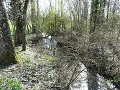 Au nord du bourg de Saint-Crépin-de-Richemont.