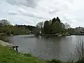 Les rives de la Vilaine à la Courbe.