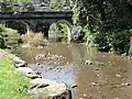 Pont sur le Roc