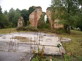 Bović