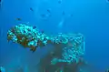 Canon de proue du Fujikawa Maru